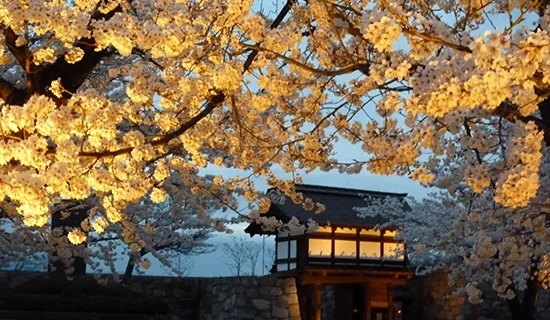 フォトギャラリーイメージ｜メルキュール長野松代リゾート＆スパ